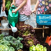 Young children watering plants in a garden outdoors.